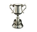 Personalised Pewter Trophy