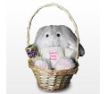 Personalised Easter Bunny Basket Pink