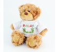 Personalised Animal Name Teddy with T-shirt